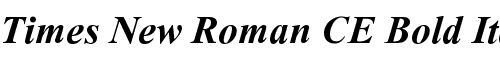 Картинка Шрифта Times New Roman CE Bold Italic